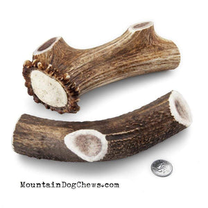 Mountain Dog Chews Mountain Dog Chews - Whole Elk Antlers Dog Chews - Naturally Shed - A+ Grade X-Large