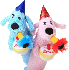 Multipet Multipet Loofa Birthday Dog Dog Toy - 12”