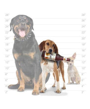 Load image into Gallery viewer, Silly Squeakers Silly Squeakers Beer Bottles - Stuffing Free Vinyl Dog Toy