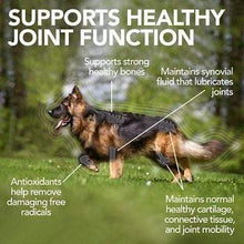 Load image into Gallery viewer, Vet’s Best Vet’s Best Advanced Hip &amp; Joint Dog Supplement - 90 Chewable Tablets