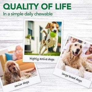 Vet’s Best Vet’s Best Advanced Hip & Joint Dog Supplement - 90 Chewable Tablets
