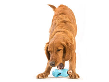 Load image into Gallery viewer, West Paw West Paw Qwizl Dog Toy Small - 5.5” / Aqua