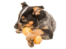 Load image into Gallery viewer, West Paw West Paw Qwizl Dog Toy