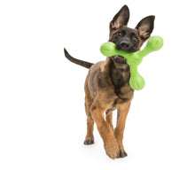 Load image into Gallery viewer, West Paw West Paw Skamp Dog Toy