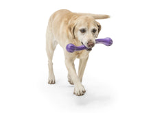 Load image into Gallery viewer, West Paw West Paw Zwig Dog Toy - Large